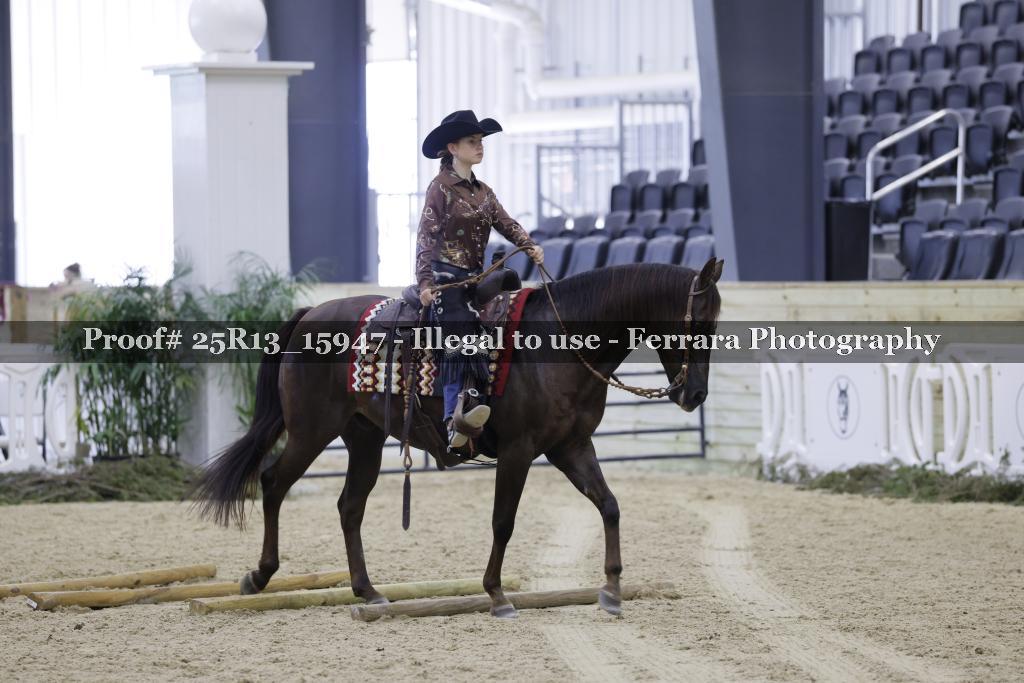 Proof Number 25R13_15947
