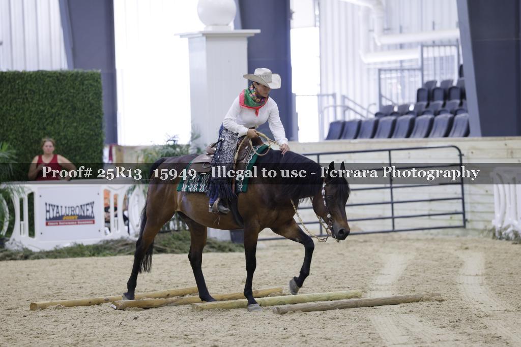 Proof Number 25R13_15949