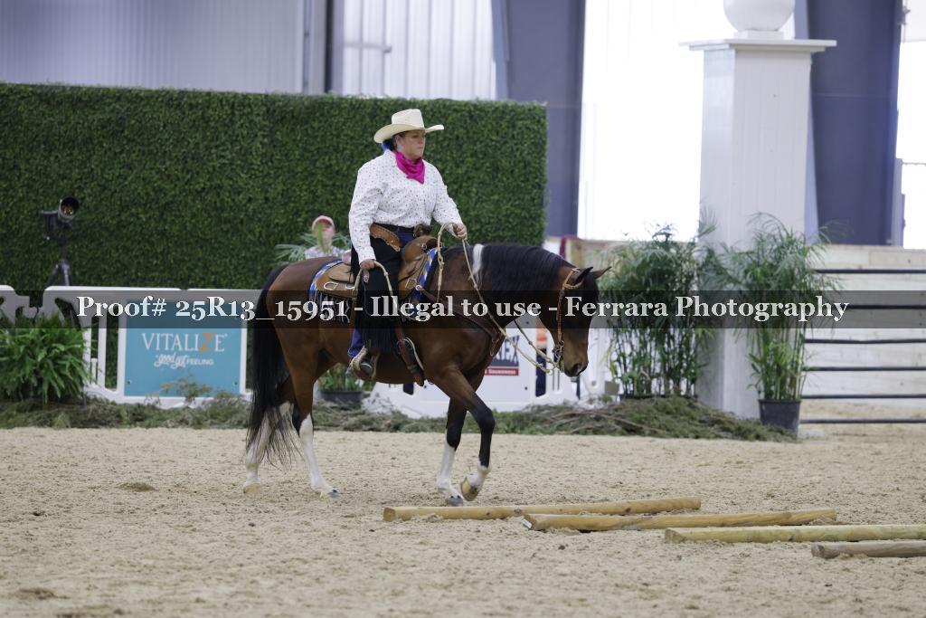 Proof Number 25R13_15951