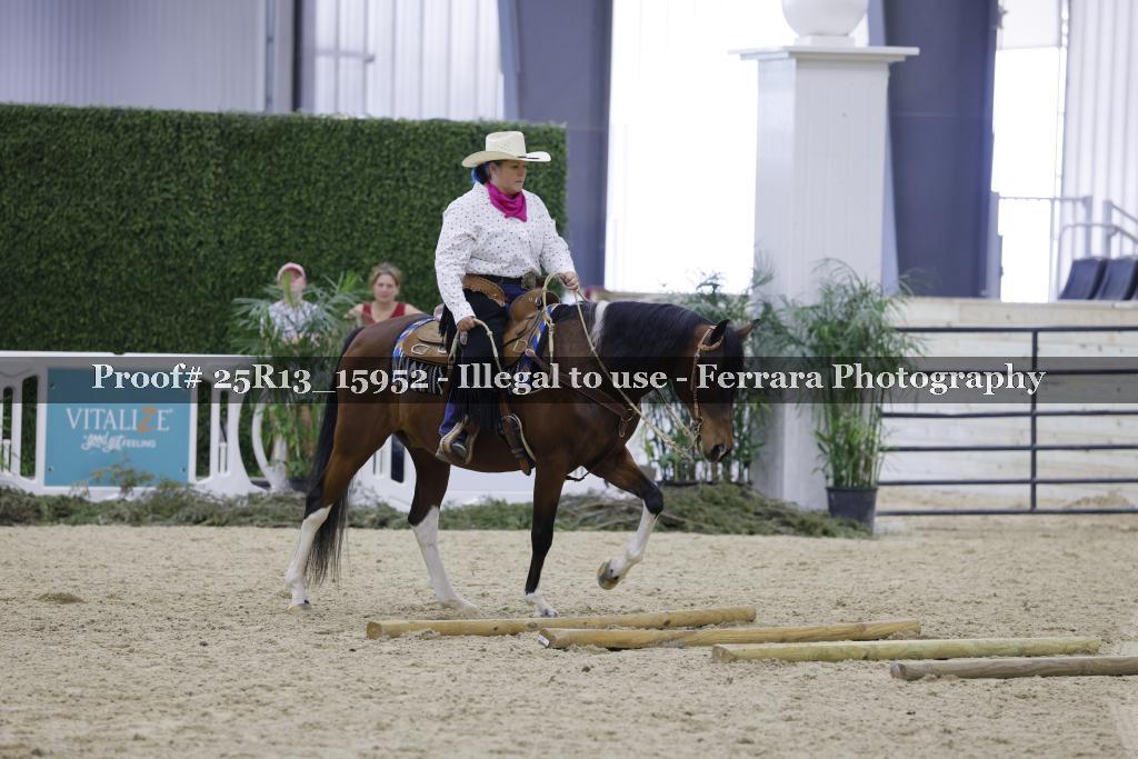 Proof Number 25R13_15952