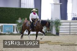 25R13_15952 thumbnail