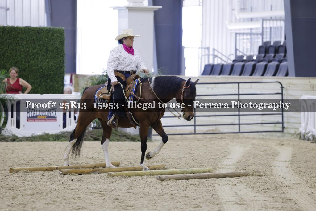 Proof Number 25R13_15953
