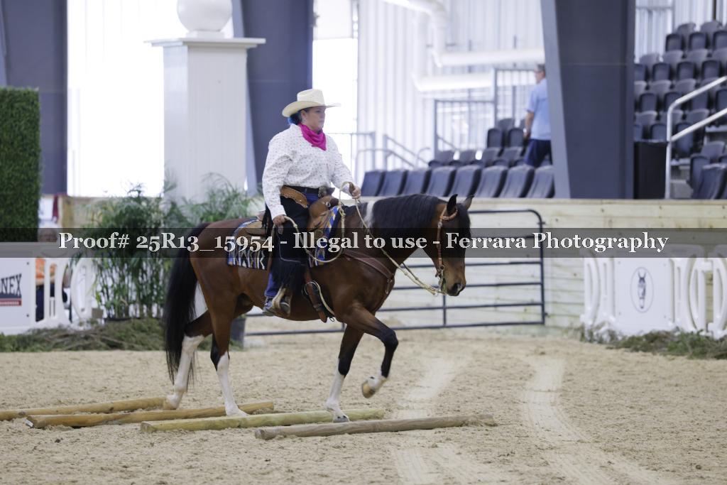 Proof Number 25R13_15954
