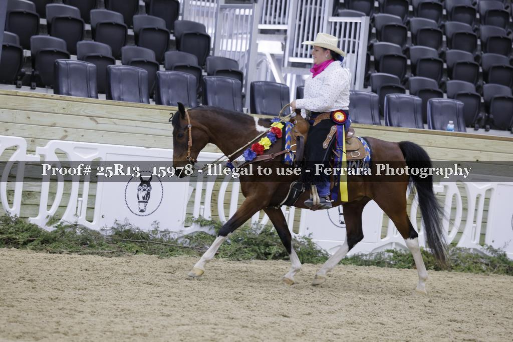 Proof Number 25R13_15978