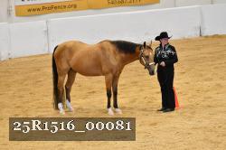 25R1516_00081 thumbnail