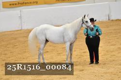 25R1516_00084 thumbnail