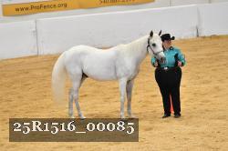25R1516_00085 thumbnail