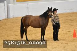 25R1516_00090 thumbnail