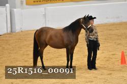 25R1516_00091 thumbnail