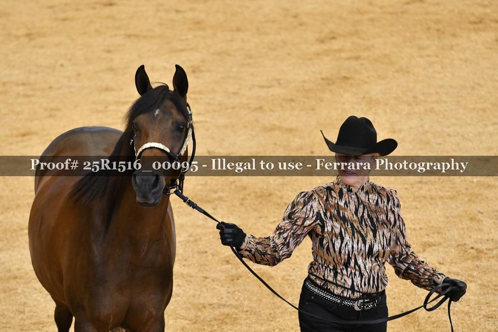 Proof Number 25R1516_00095