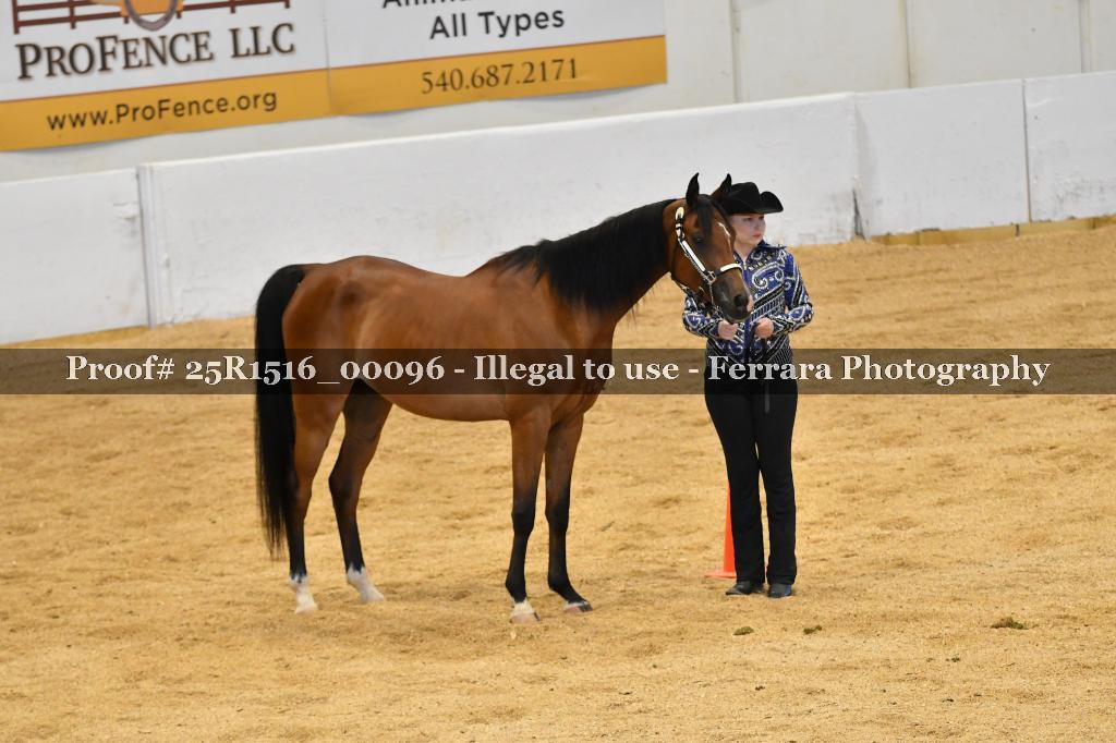 Proof Number 25R1516_00096