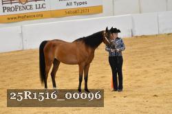 25R1516_00096 thumbnail