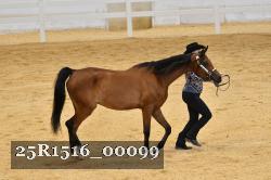 25R1516_00099 thumbnail