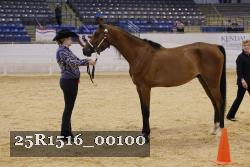 25R1516_00100 thumbnail