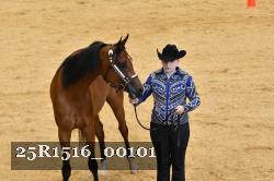 25R1516_00101 thumbnail