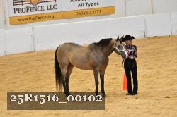 25R1516_00102 thumbnail