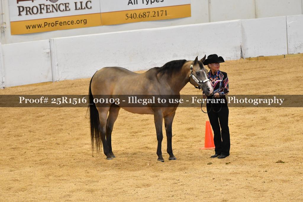 Proof Number 25R1516_00103
