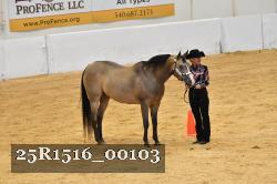 25R1516_00103 thumbnail