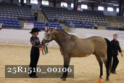 25R1516_00106 thumbnail