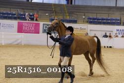 25R1516_00108 thumbnail