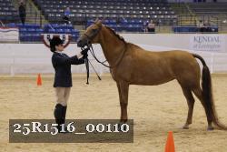 25R1516_00110 thumbnail