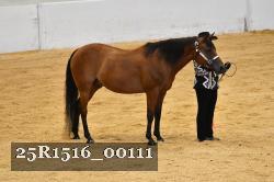 25R1516_00111 thumbnail