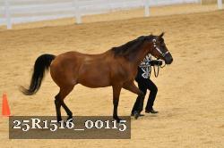 25R1516_00115 thumbnail
