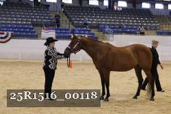 25R1516_00118 thumbnail