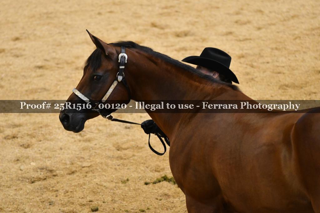 Proof Number 25R1516_00120