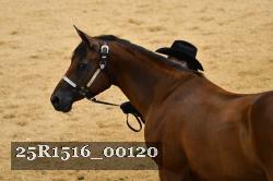 25R1516_00120 thumbnail