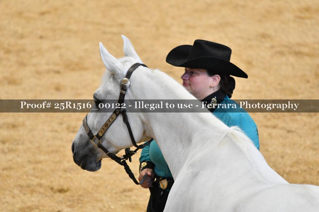 Proof Number 25R1516_00122