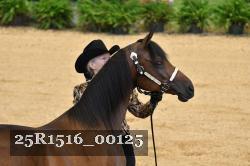 25R1516_00125 thumbnail