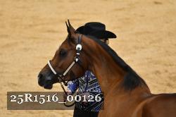 25R1516_00126 thumbnail