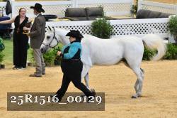 25R1516_00129 thumbnail