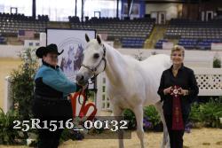 25R1516_00132 thumbnail