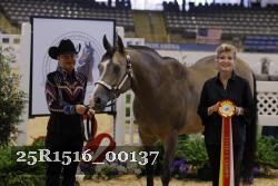 25R1516_00137 thumbnail