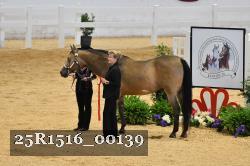 25R1516_00139 thumbnail