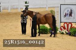 25R1516_00142 thumbnail