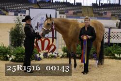 25R1516_00143 thumbnail