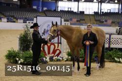 25R1516_00145 thumbnail