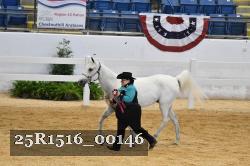 25R1516_00146 thumbnail