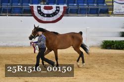 25R1516_00150 thumbnail
