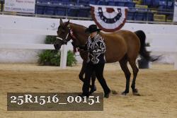 25R1516_00151 thumbnail