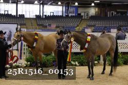 25R1516_00153 thumbnail