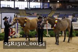 25R1516_00154 thumbnail