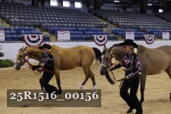 25R1516_00156 thumbnail