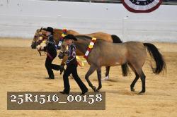 25R1516_00158 thumbnail