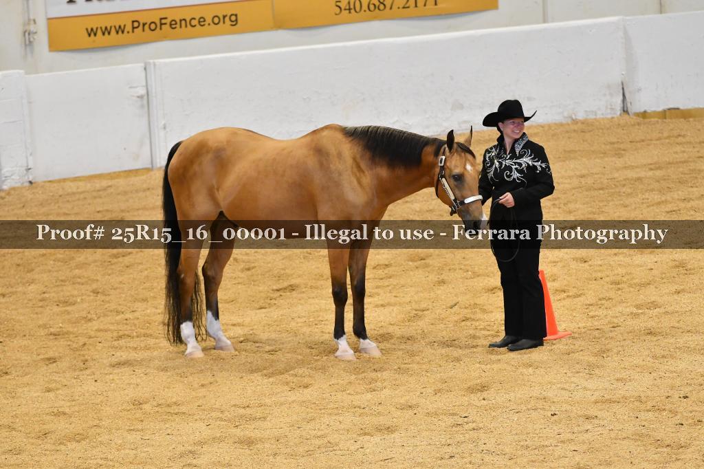 Proof Number 25R15_16_00001