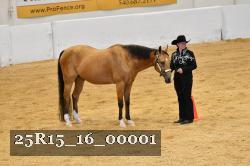 25R15_16_00001 thumbnail
