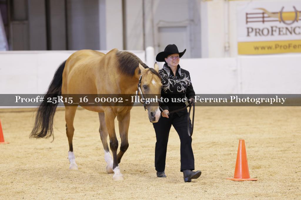 Proof Number 25R15_16_00002